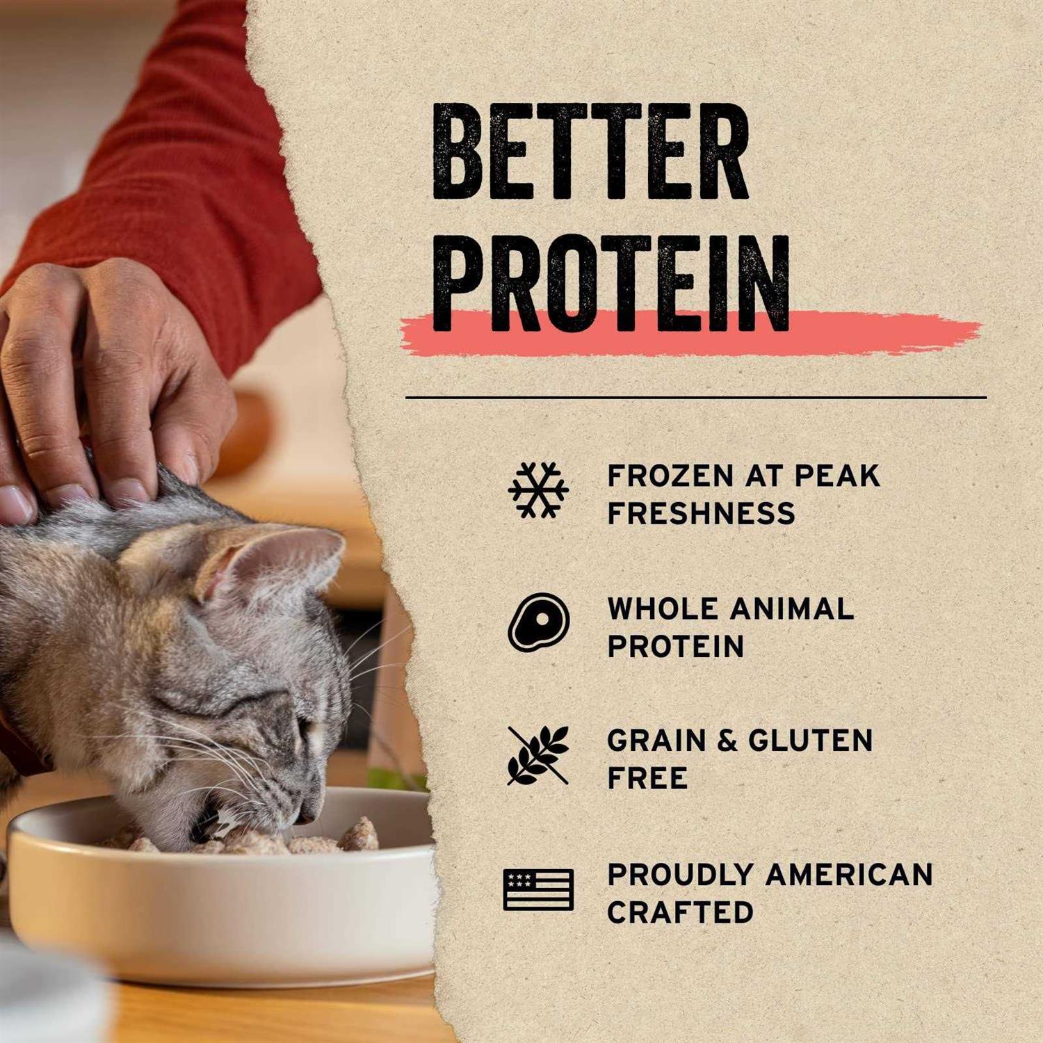 Vital Essentials Duck Entree Mini Nibs Freeze-Dried Raw Cat Food - Healthber