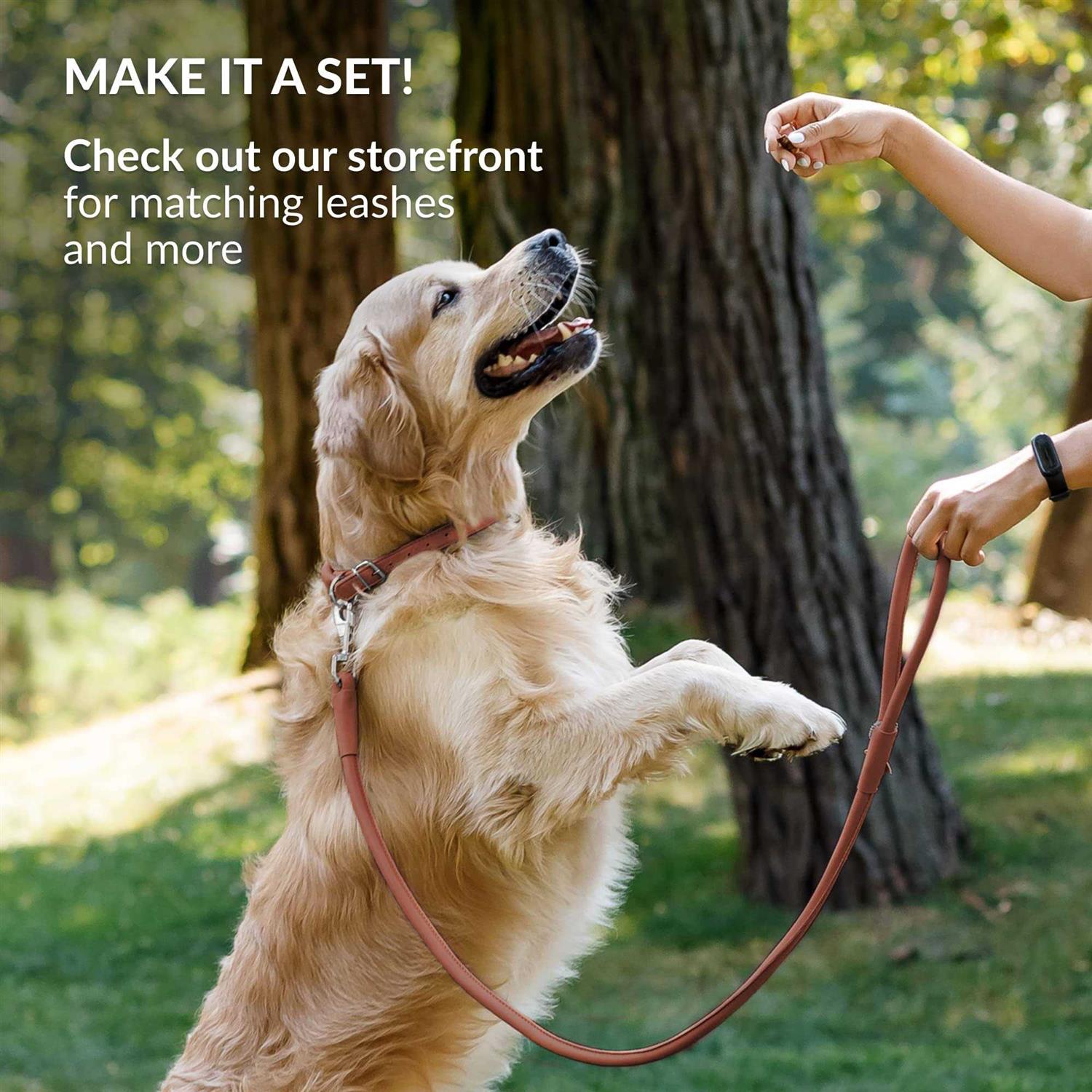 CollarDirect Rolled Leather Dog Collar Soft Padded Round Puppy Collar - Healthber
