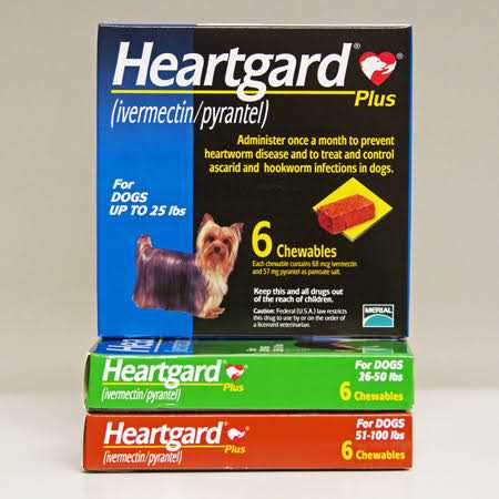 Heartgard Plus Chewables for Dogs - Healthber