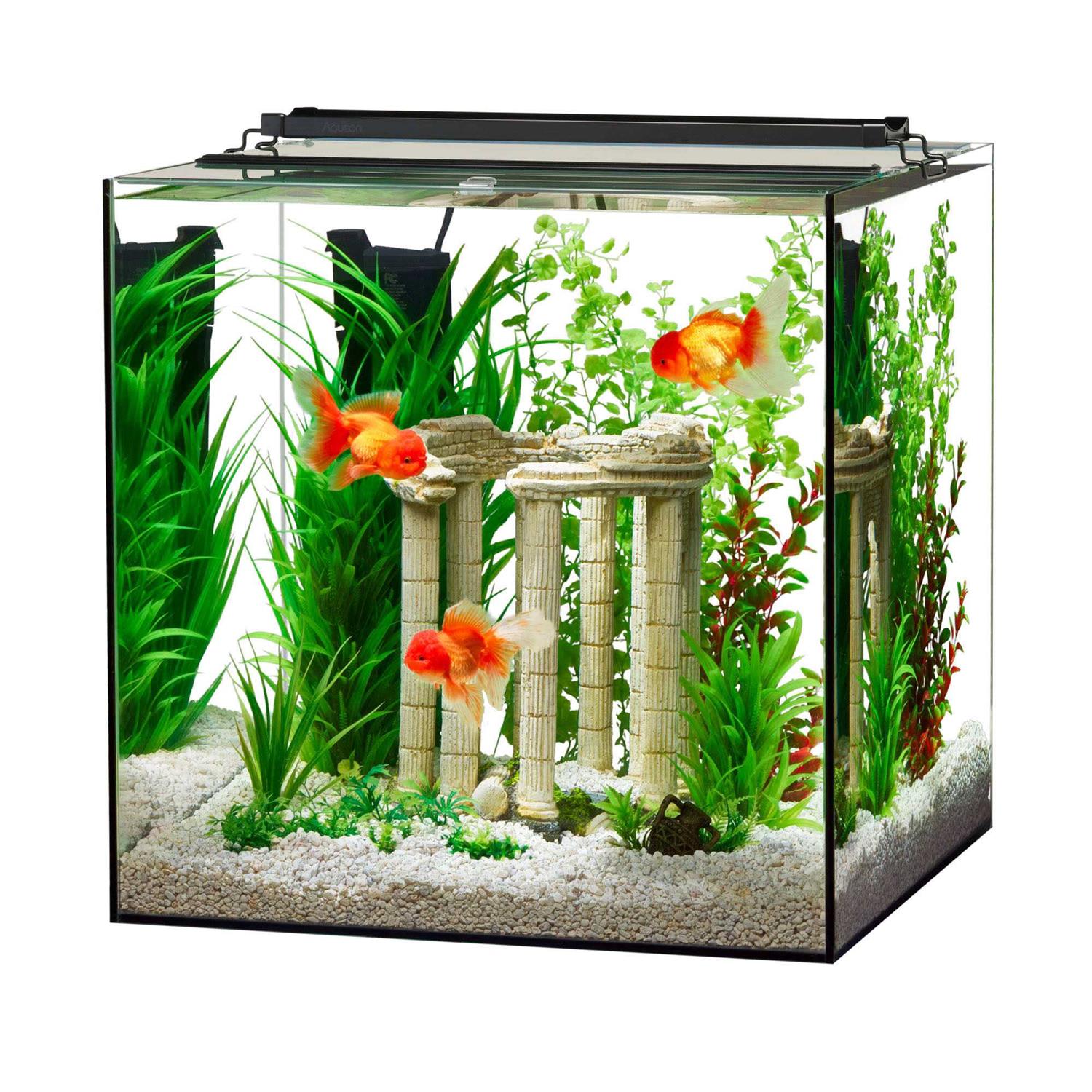 Aqueon Frameless Cube Aquarium - Healthber