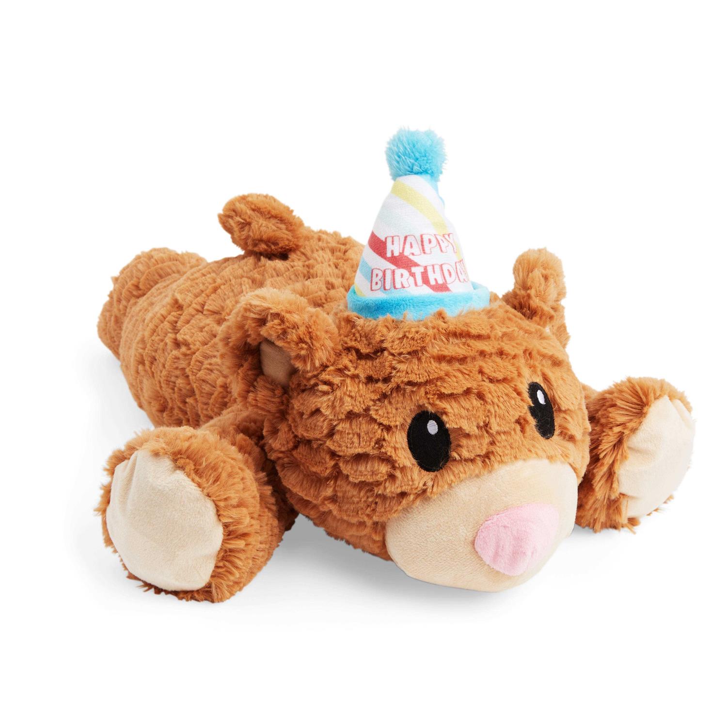 Youly 18″ Birthday Snuggles Dog Toy - Healthber