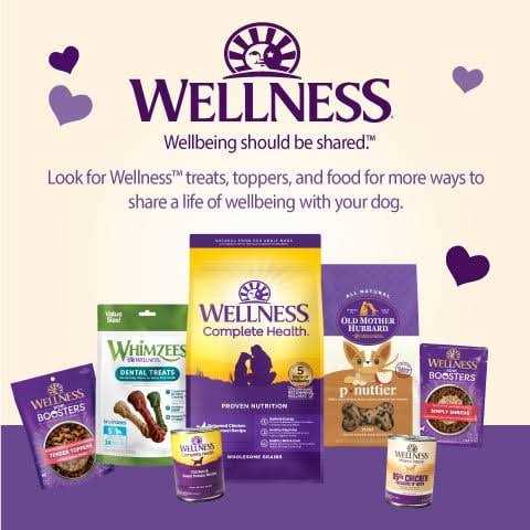 Wellness Soft Wellbites Turkey & Duck Recipe Dog Treats - Healthber