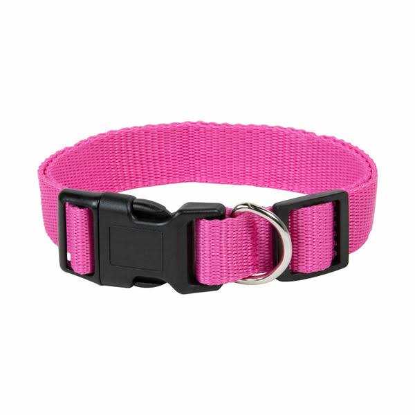 Pet Champion Collar - Healthber