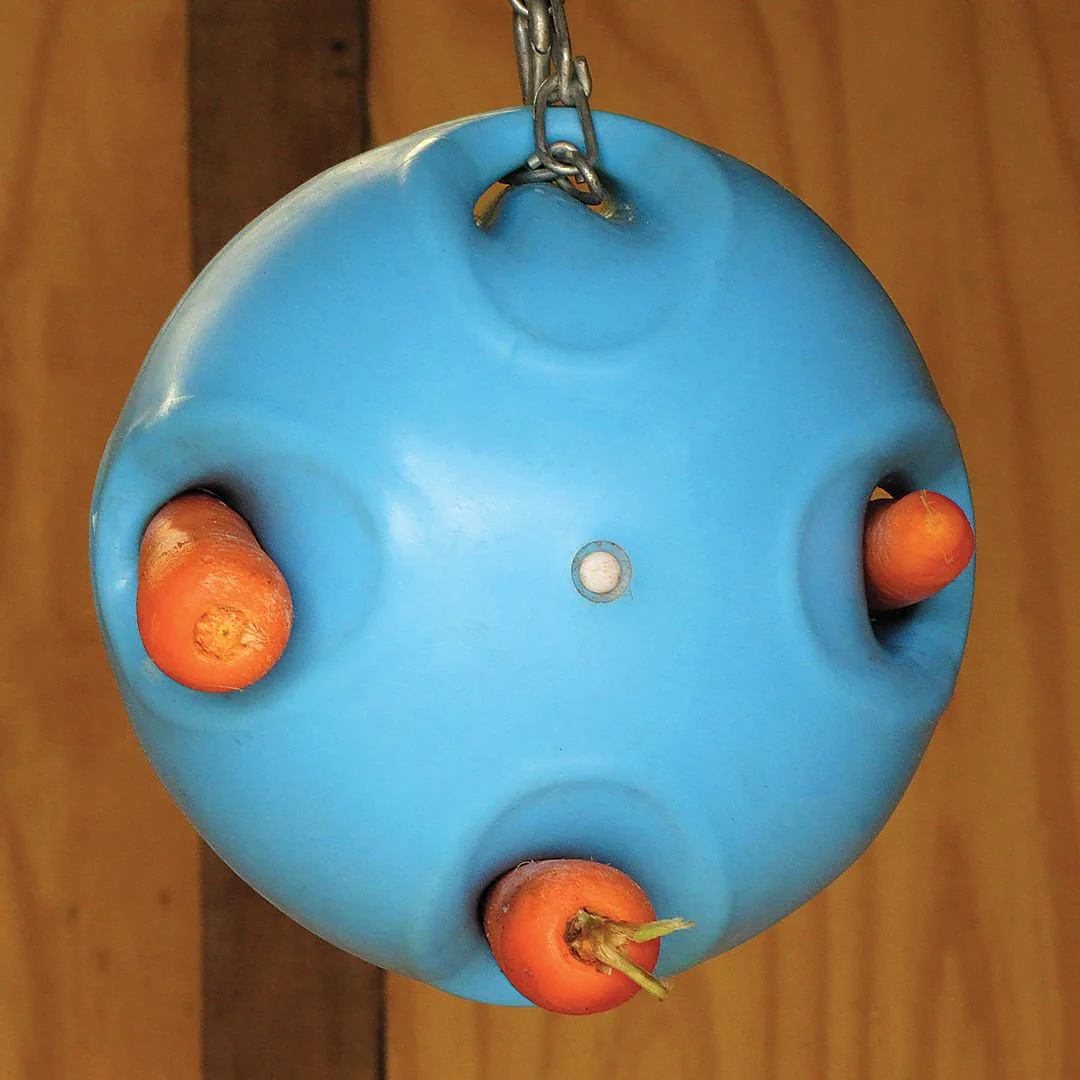 Carrot Ball - Healthber