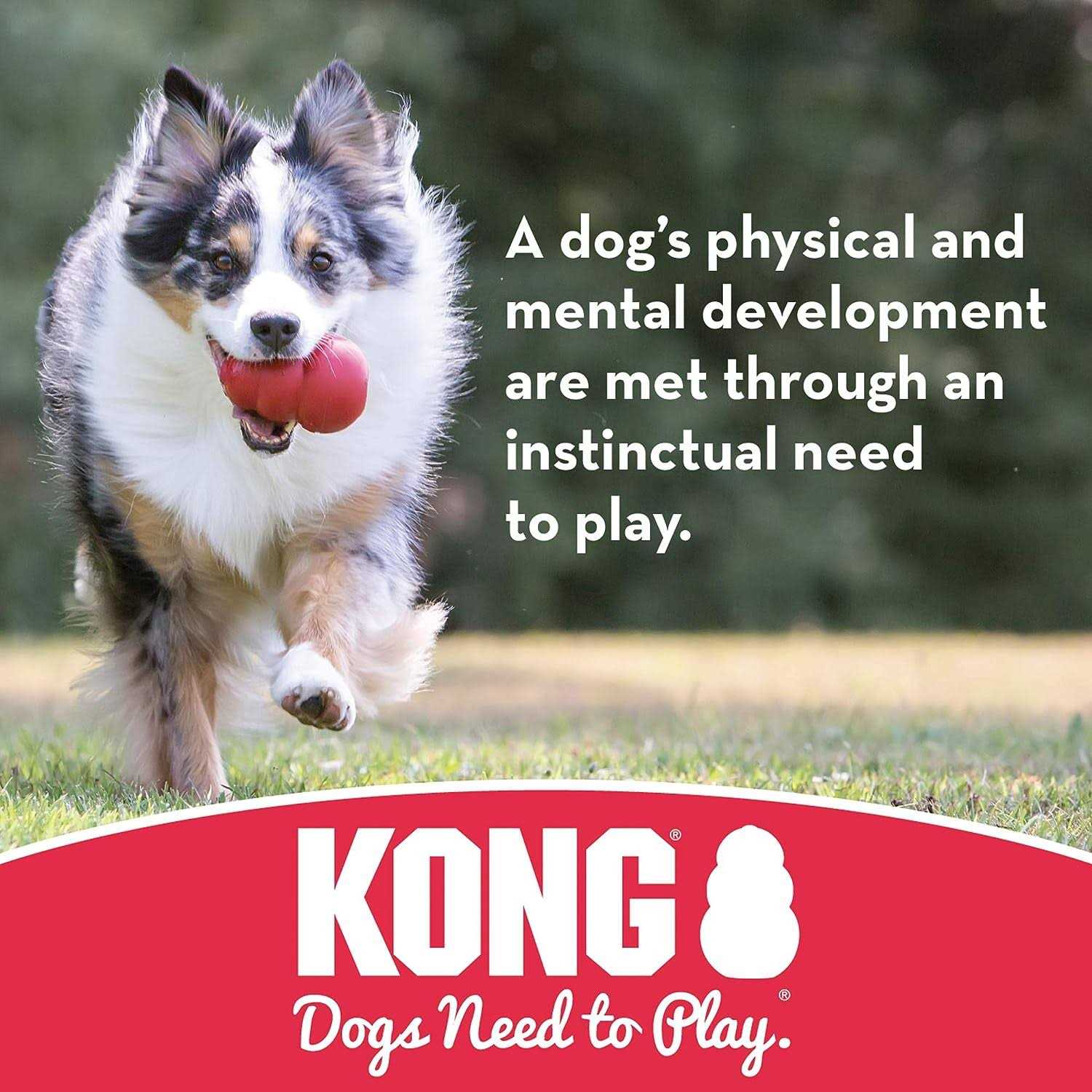 Dog Toy KONG Ball - Healthber