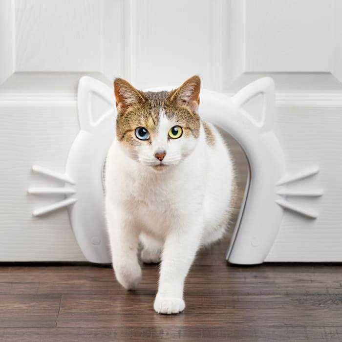 PetSafe Cat Door Cat Corridor for Interior Doors Adds Privacy, Keeps Dogs Out of Cats Space, Food, and Litter Box or Auto Feeder - Healthber