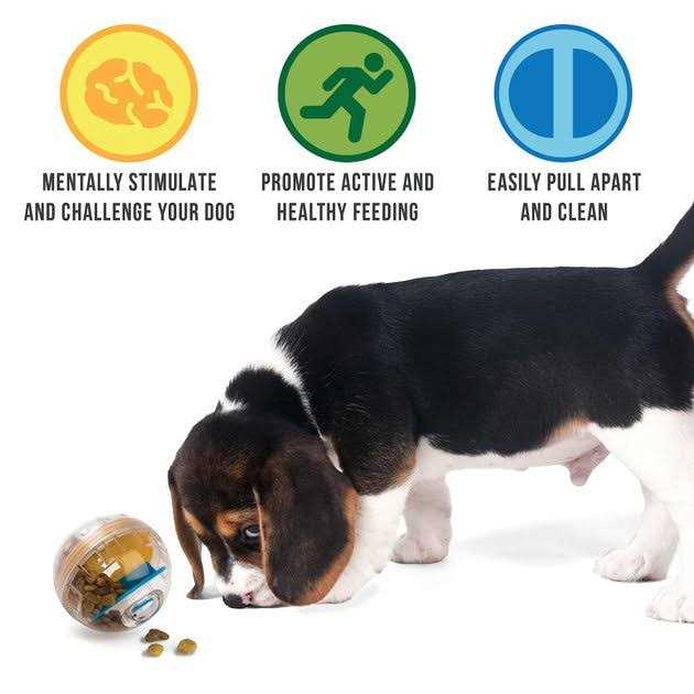 Pet Zone IQ Treat Ball Dog Toy 4 - Healthber