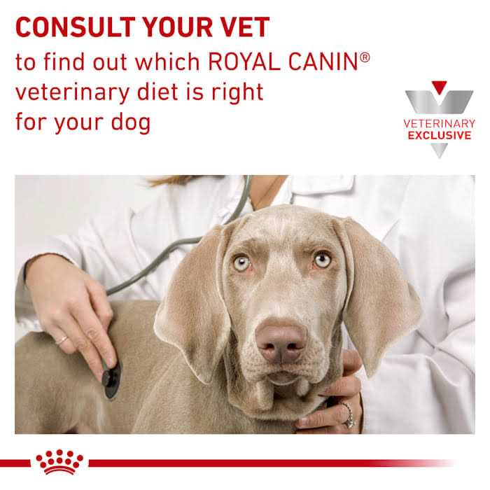 Royal Canin Veterinary Diet -Hydrolyzed Protein HP. Dry Dog Food - Healthber