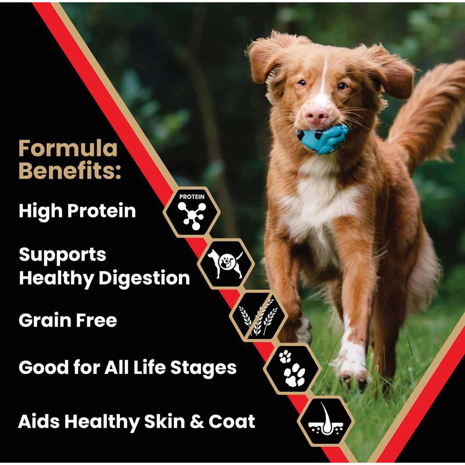 Victor Dog Food Grain Free Active Dog & Puppy - Healthber