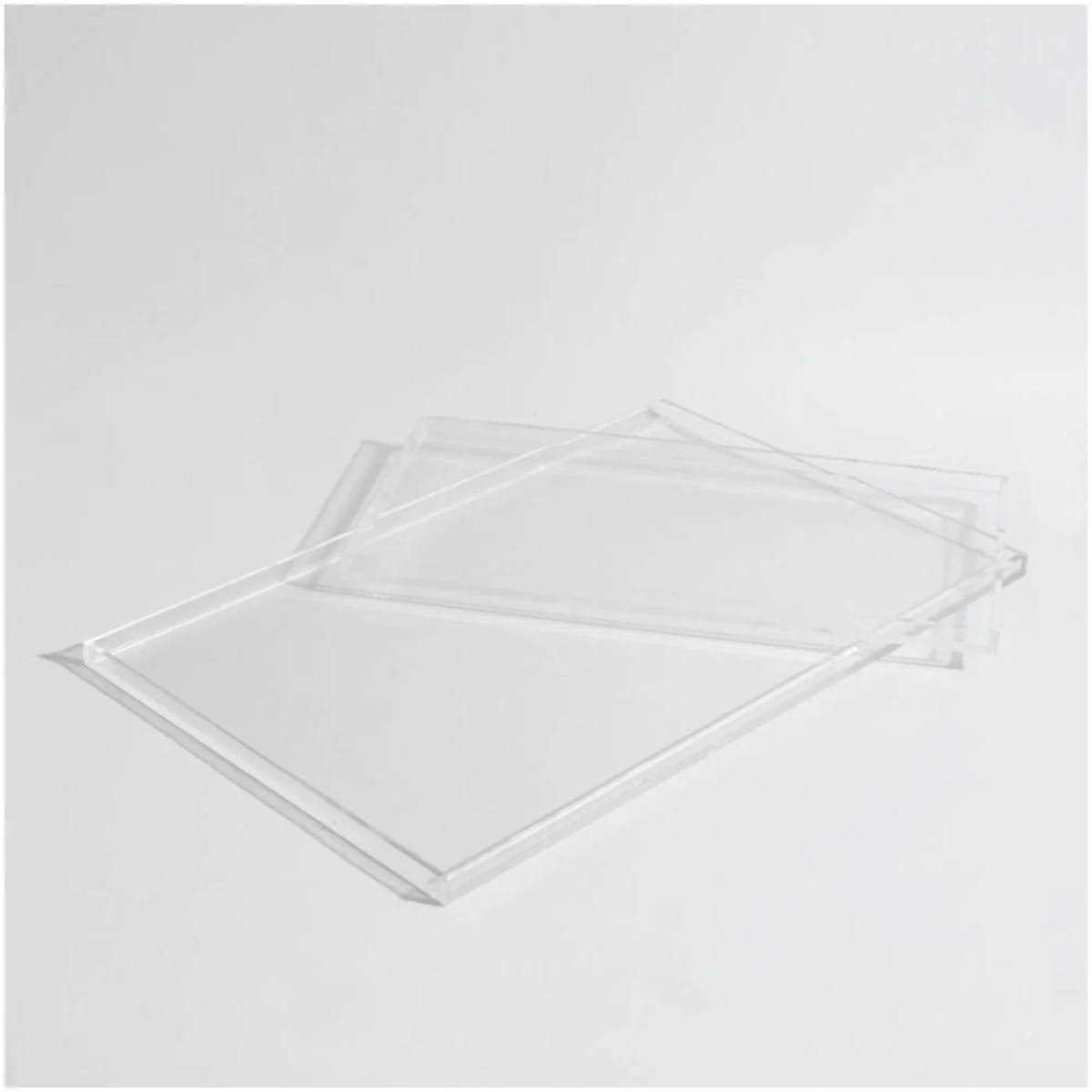 Hiddin Clear Overflow Feeder Tray - Healthber