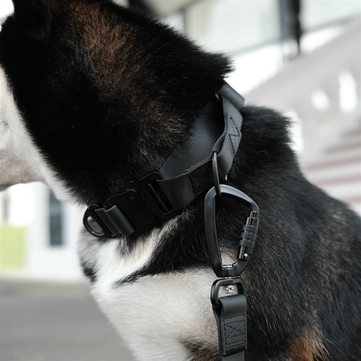 Waterproof Martingale Collar - Healthber