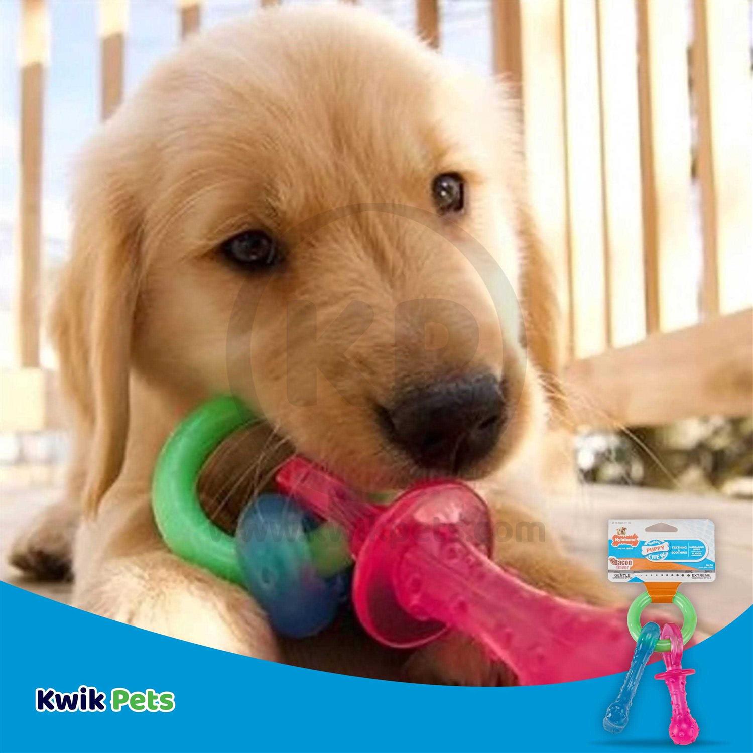 Nylabone Puppy Chew Teething Pacifier - Healthber