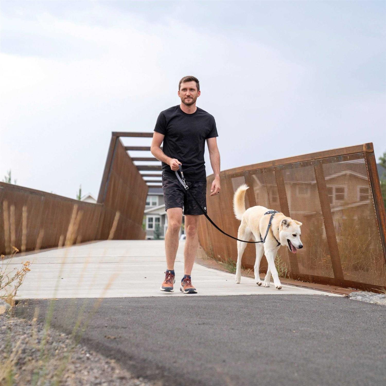 Front Range Harness RuffWear - Healthber