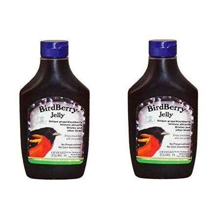 Songbird Essentials Birdberry Jelly 20 oz - Healthber