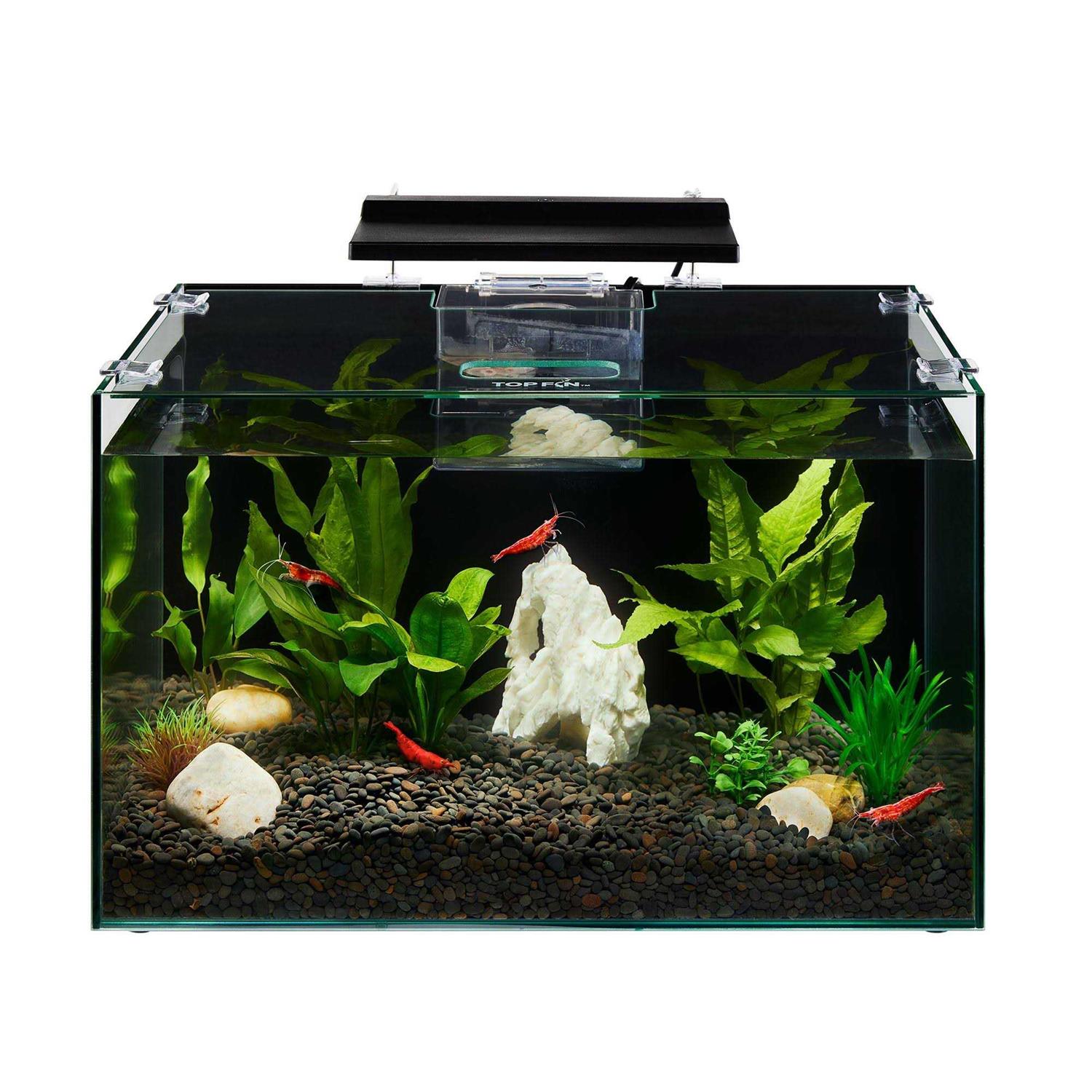Top Fin Shrimp & Plantal Aquarium - Healthber