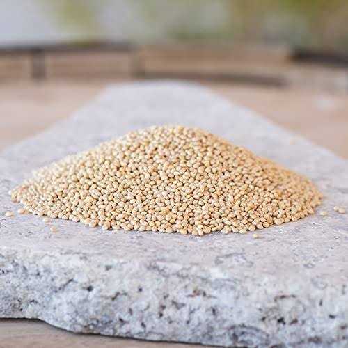 Desert Valley Supply Desert Valley Premium White Millet Proso Seeds - Healthber