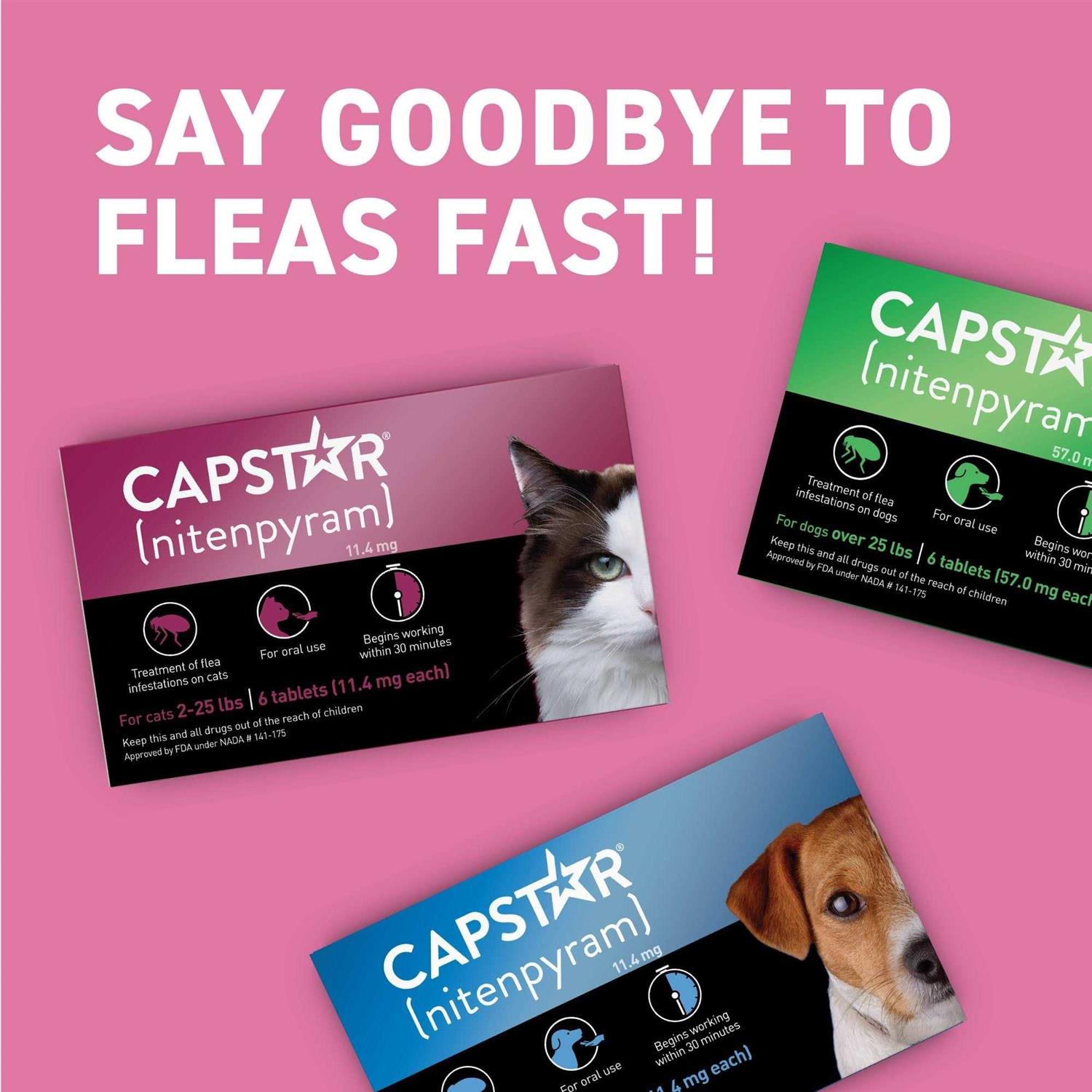 Capstar Flea Tablets for Cats 2-25 lbs - Healthber