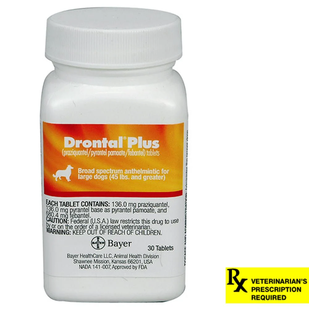 Rx Drontal Plus (praziquantel/pyrantel pamoate/febantel) Broad Spectrum Anthelmintic for Dogs - Healthber