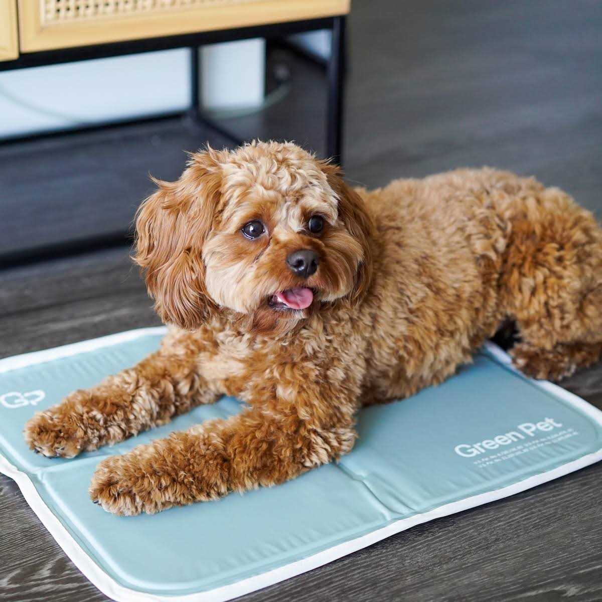 Cool Pet Pad The Green Pet Shop Sage Gray Self Cooling Pet Pad - Healthber