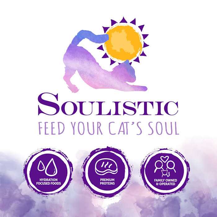 Soulistic Originals Harvest Sunrise Chicken & Pumpkin Dinner in Gravy Wet Cat Food - Healthber