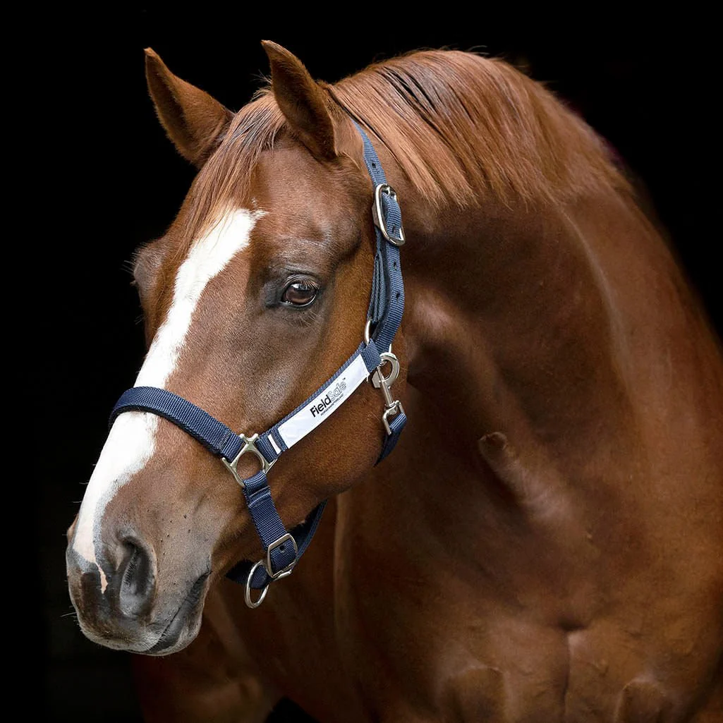 Horseware FieldSafe Halter - Healthber