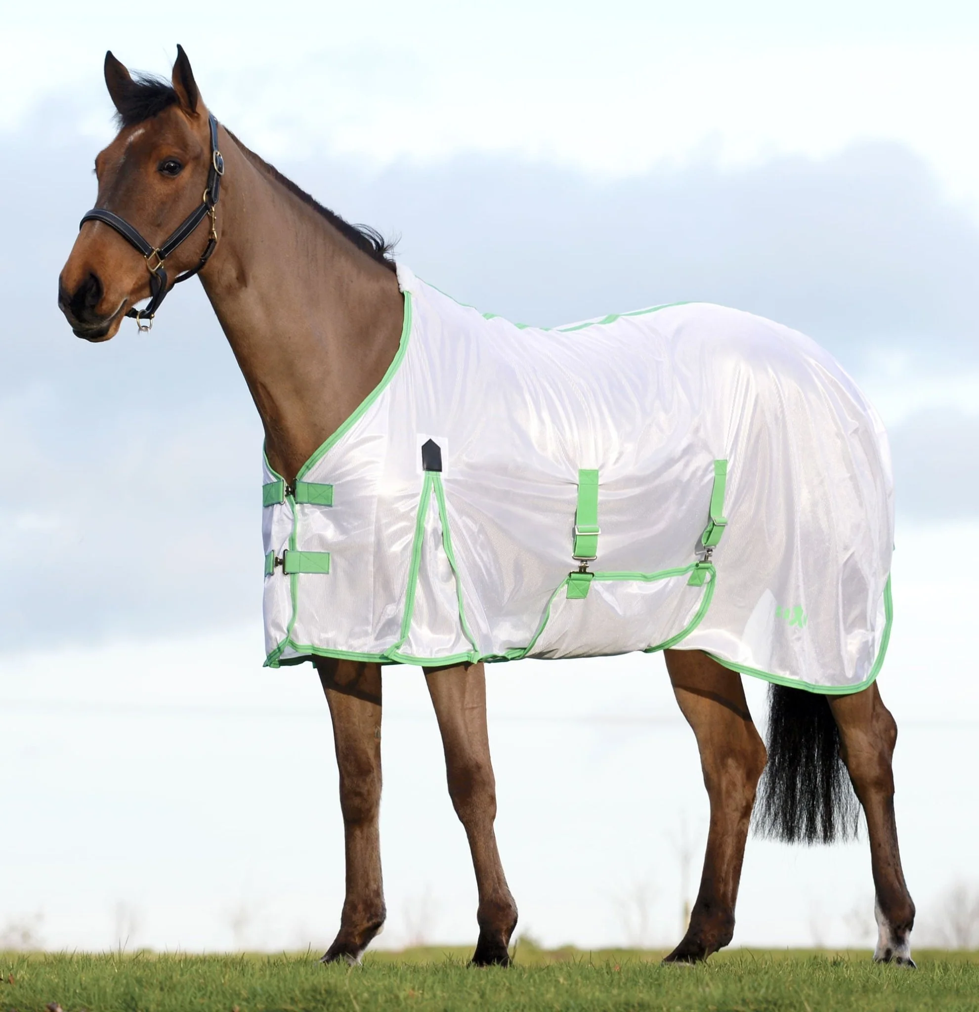 Saxon Standard Neck Mesh Horse Fly Sheet - Healthber