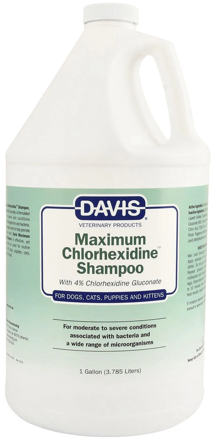 Davis Maximum Chlorhexidine (4%) Shampoo - Healthber