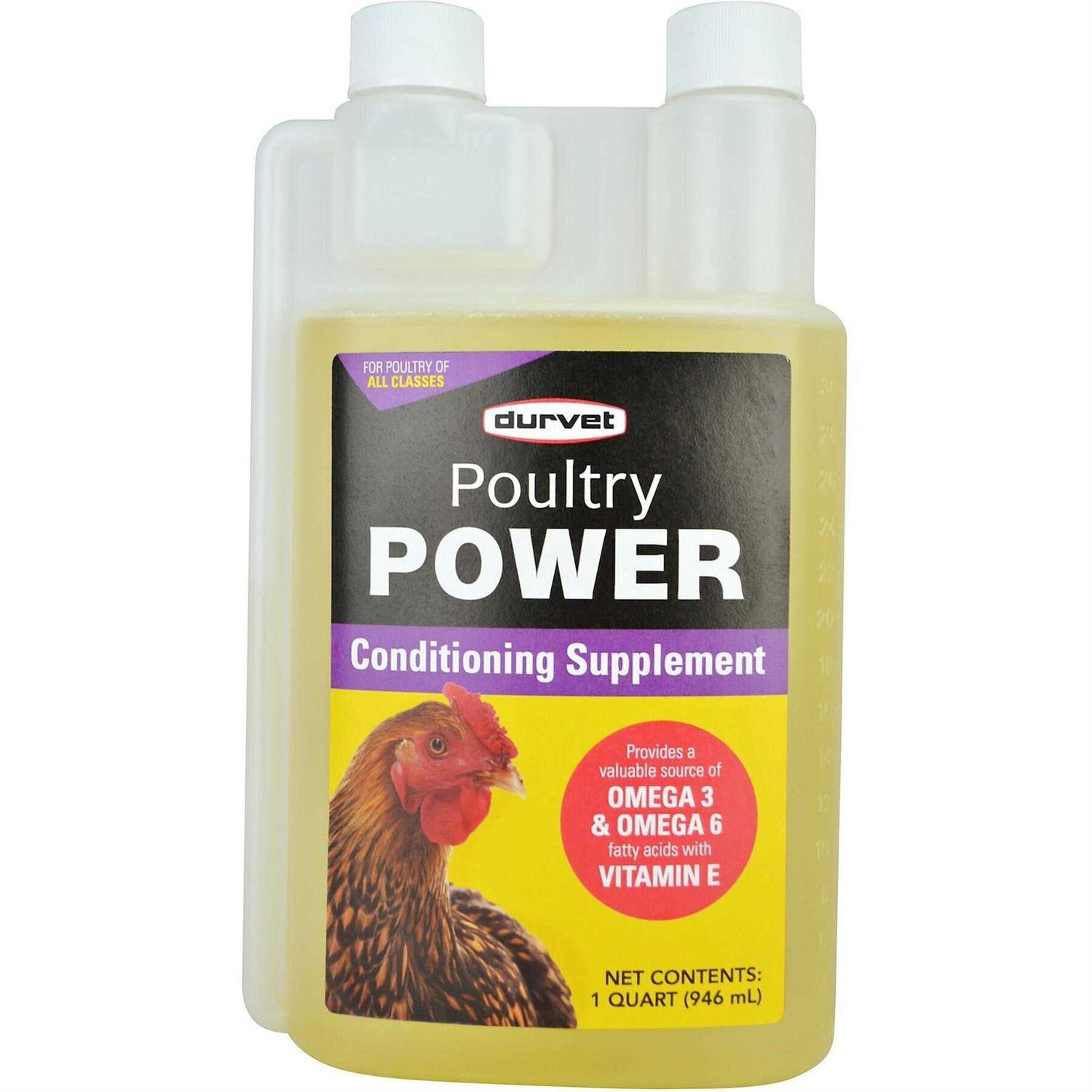 Durvet Poultry Power Conditioning Supplement - Healthber