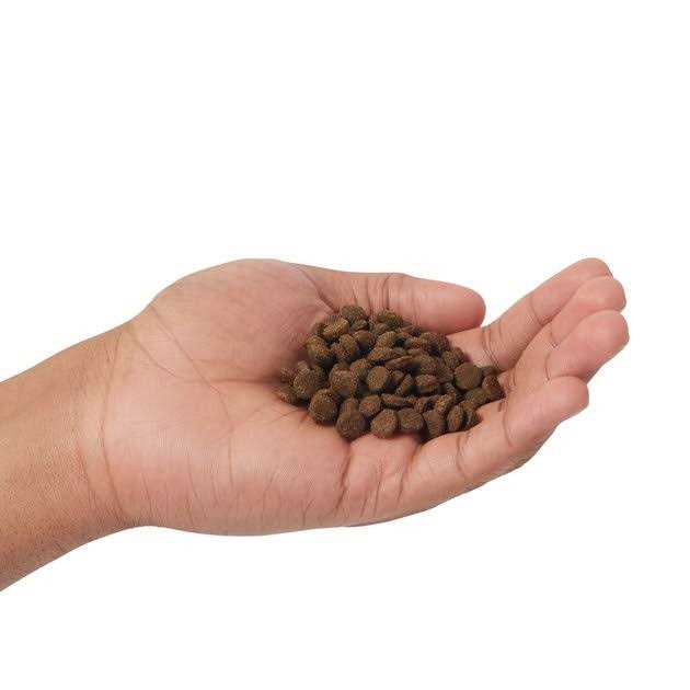 Farmina N&D Prime Grain Free Cat Dry Food Lamb & Blueberry - Healthber
