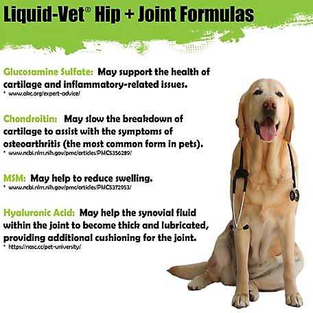 Liquid Vet Joint Care Pot Roast Flavor LVDJSPR04PK32U - Healthber