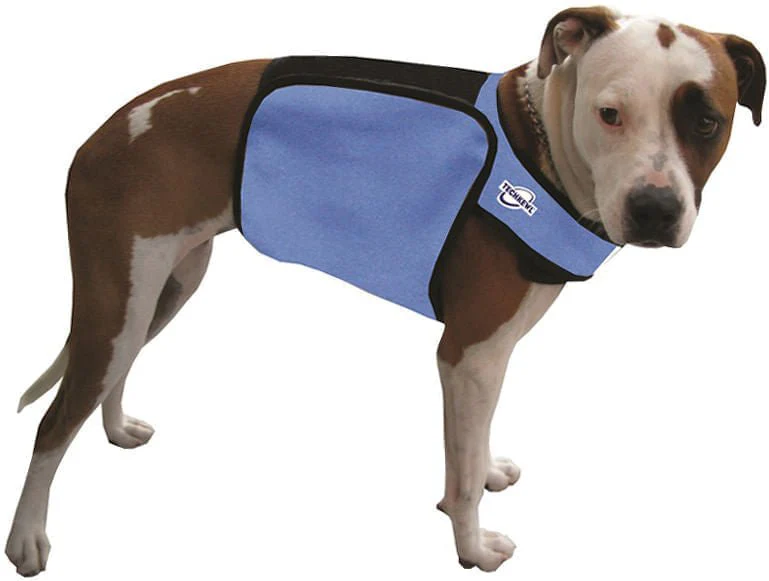 TechKewl Phase Change Cooling Dog Coat - Healthber