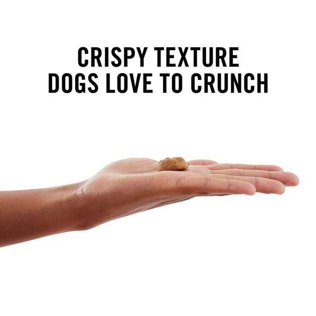 American Journey Peanut Butter Recipe Grain-Free Oven Baked Crunchy Biscuit Dog Treats - Healthber