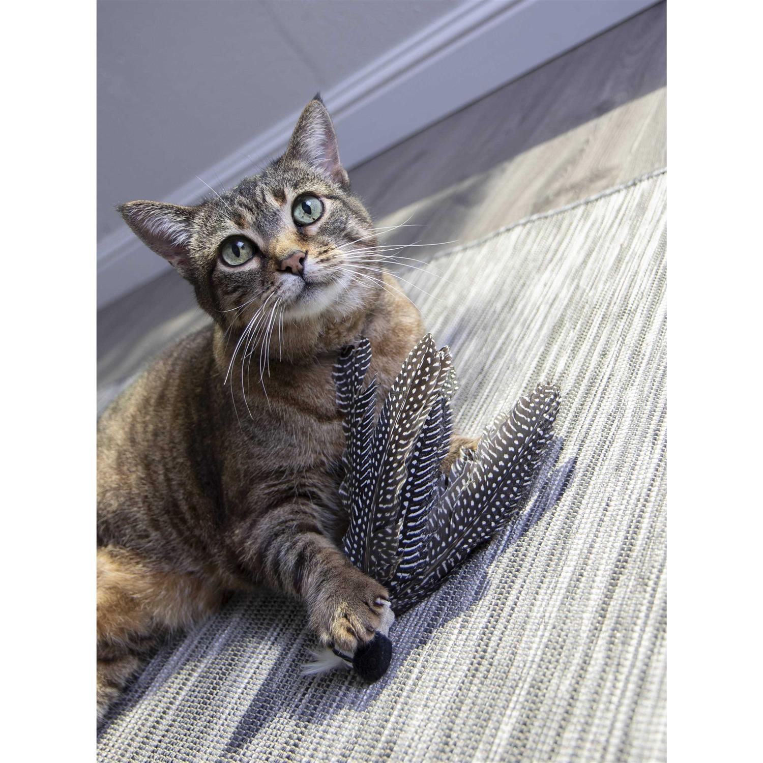 Petlinks HappyNip Zippy Zebra Catnip Cat Toy - Healthber