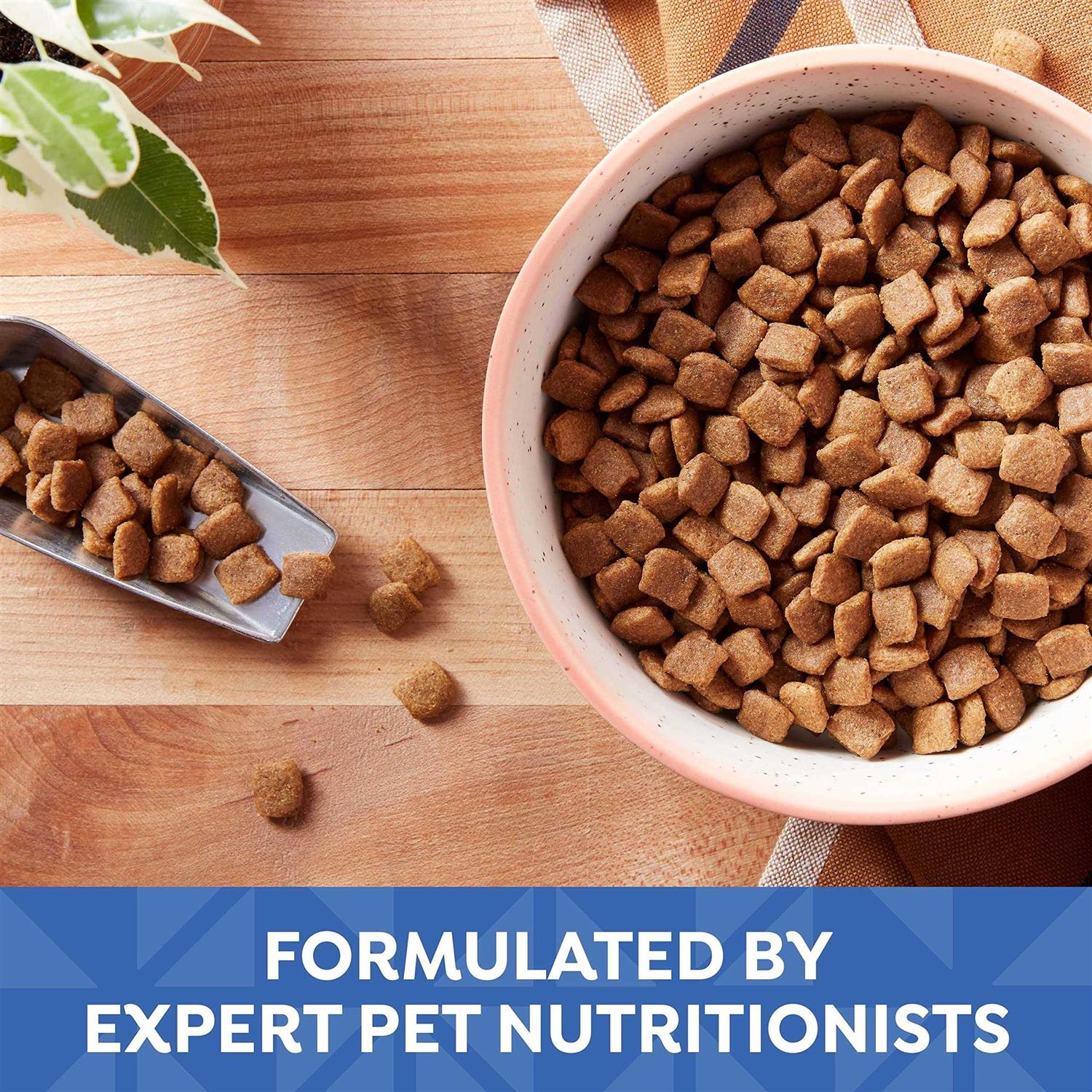 Nature’s Recipe Recipe Small Bites Dry Dog Food - Healthber