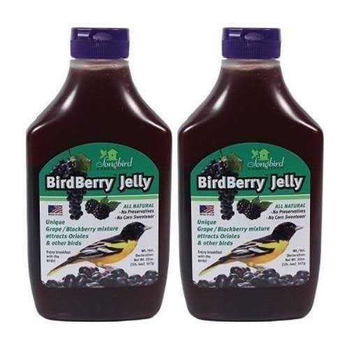 Songbird Essentials Birdberry Jelly 20 oz - Healthber