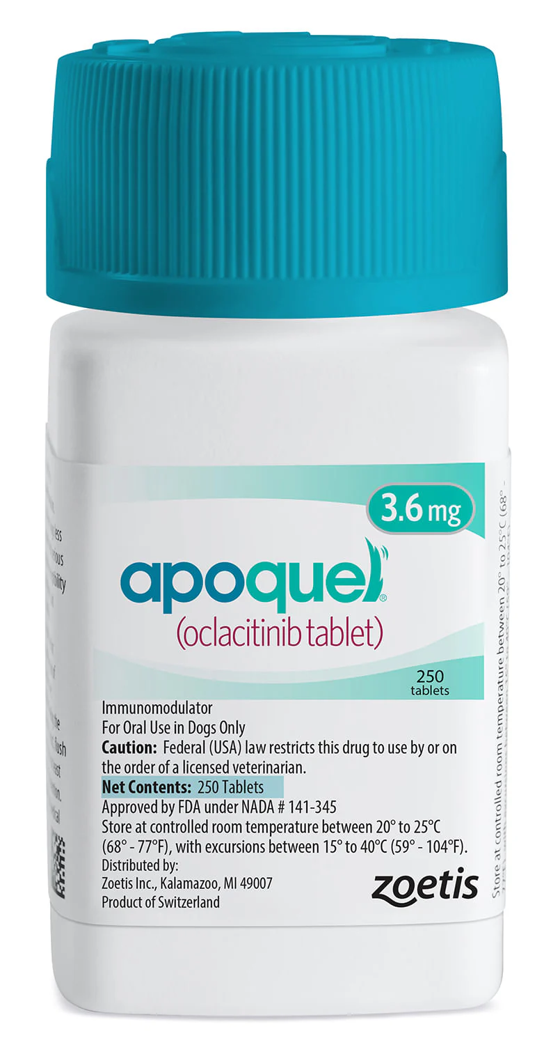 Apoquel (oclacitinib) Chewable Tablet for Dogs - Healthber