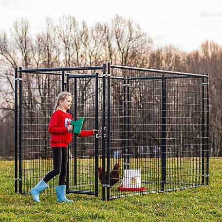 Tarter DKFMDB5 Blue Champion Dog Kennel Gate - Healthber