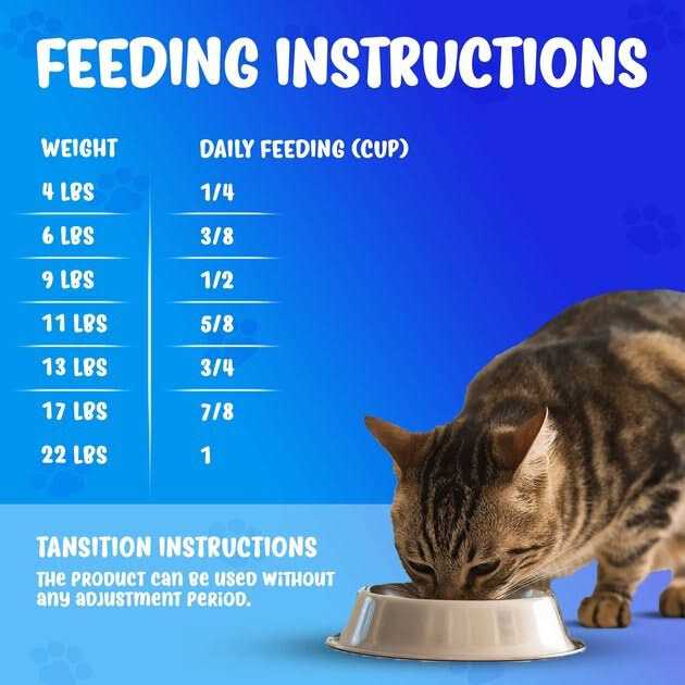 Forza10 Active Kidney Renal Support Diet Dry Cat Food - Healthber