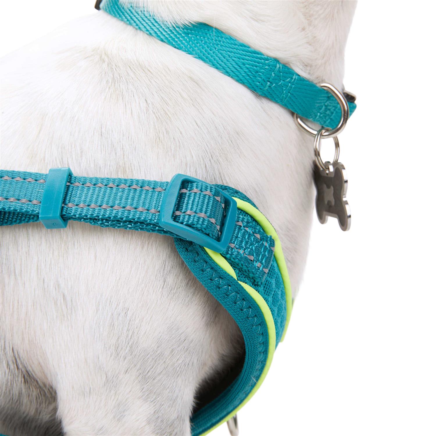 EveryYay Embrace The Pace Reflective Dog Harness - Healthber