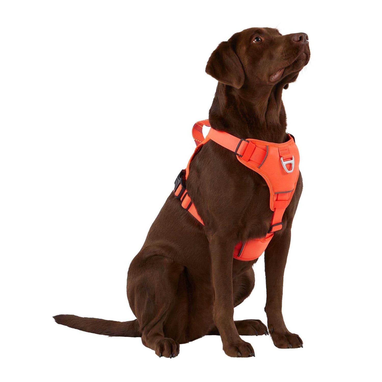Arcadia Trail Neoprene Dog Harness - Healthber