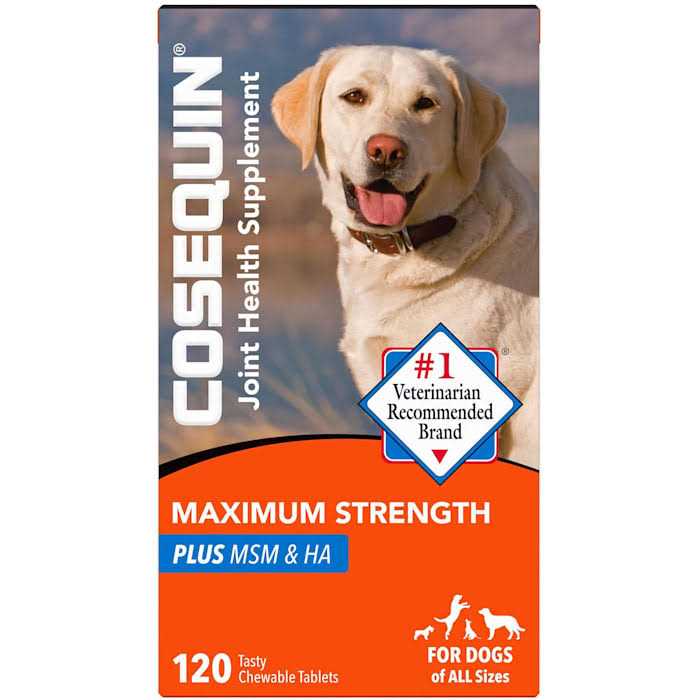 Nutramax Laboratories Cosequin Professional Joint Health Dog Supplement - Healthber