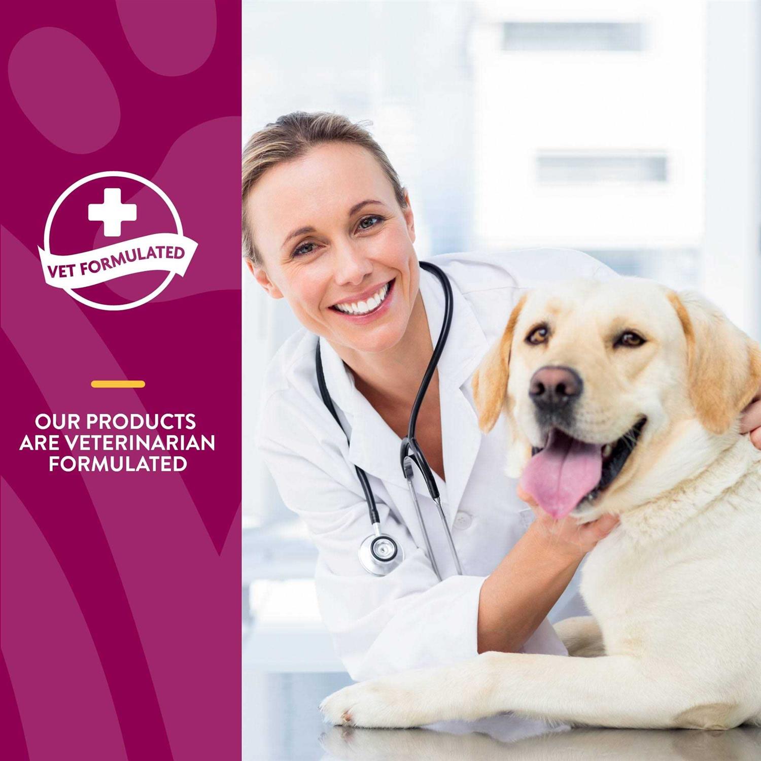 NaturVet Joint Health Soft Chews Level 3 Advanced for Dogs - Healthber
