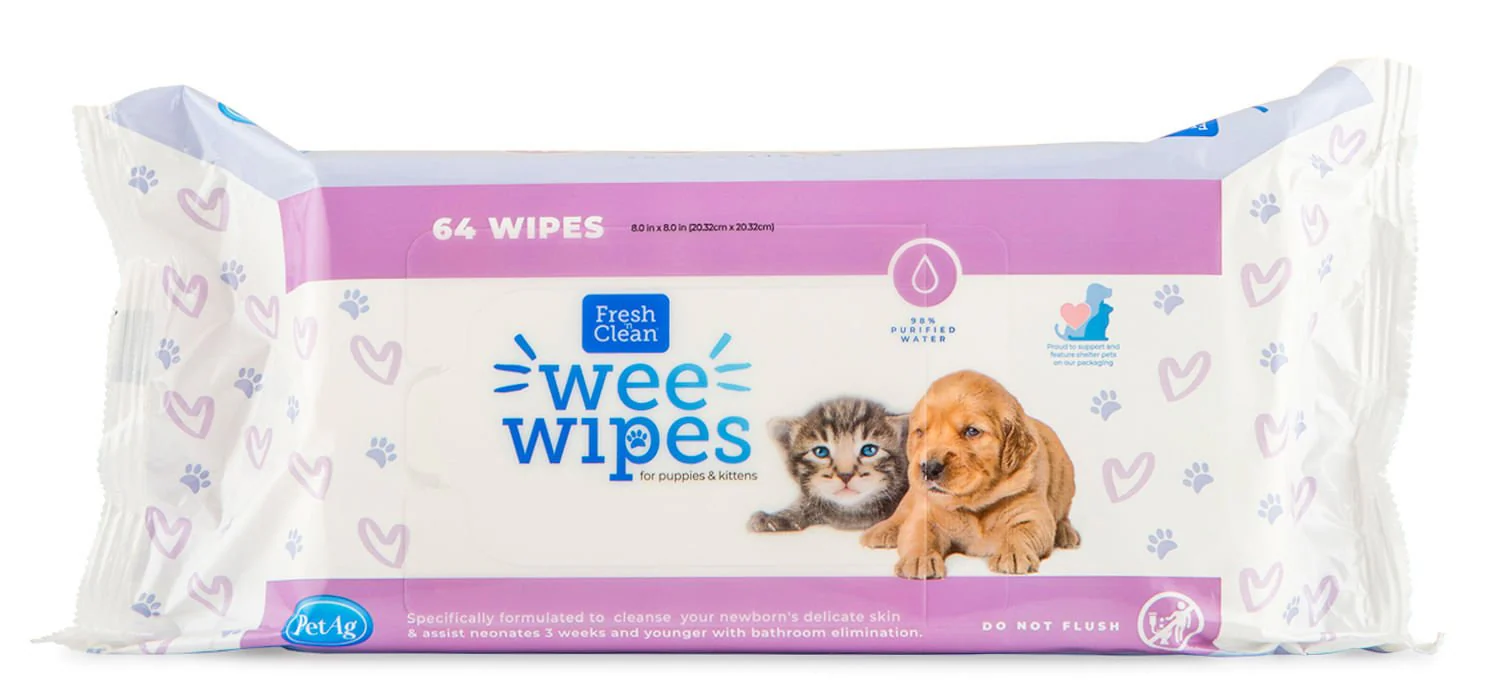 Fresh 'n Clean Wee Wipes, 64 ct - Healthber
