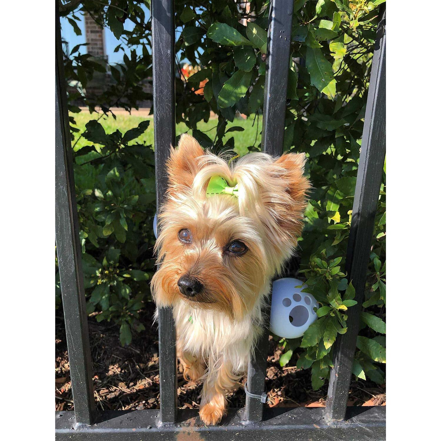 FenceMate Dog Harness Fits Girth - Healthber