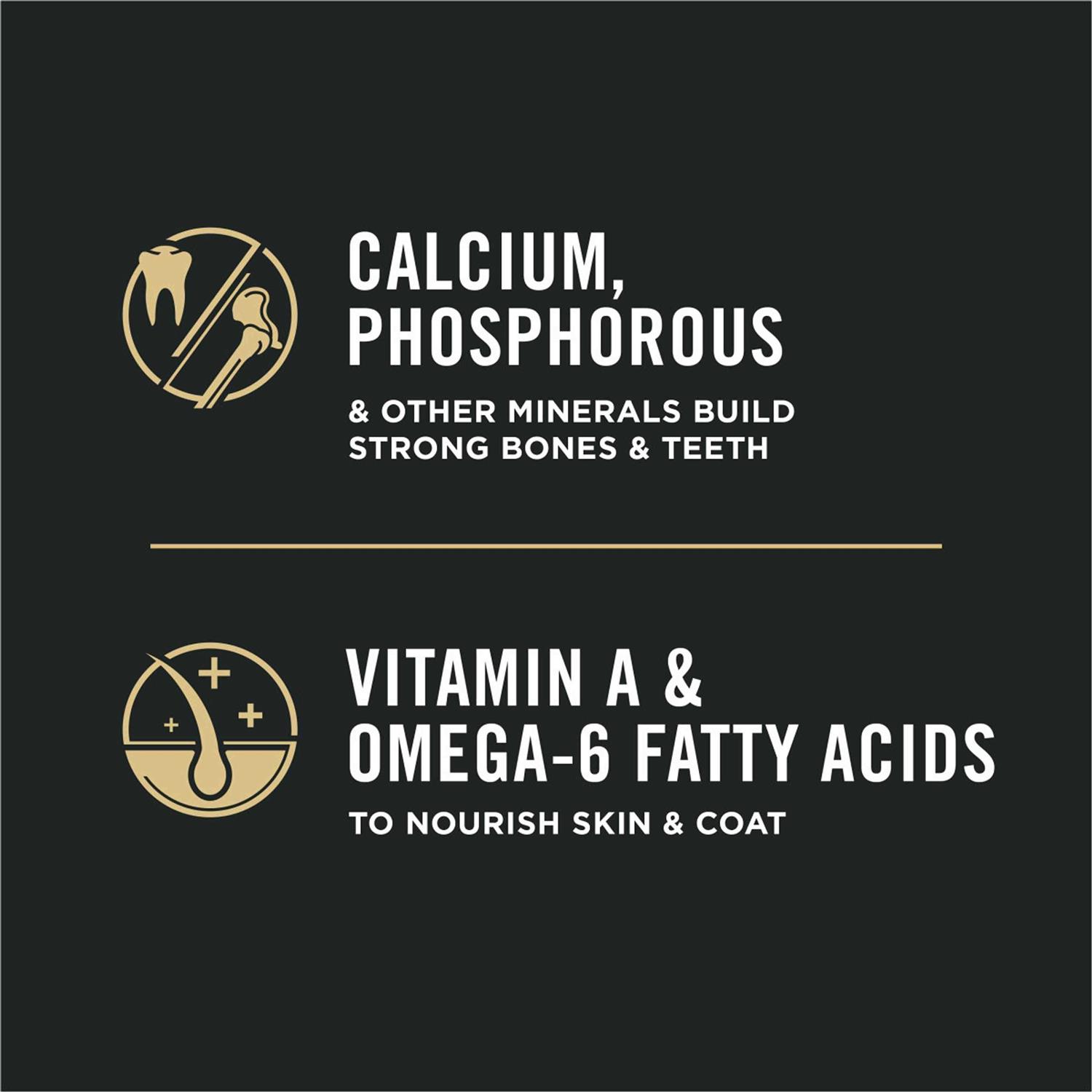 Purina Pro Plan Focus Kitten Dry Food - Healthber