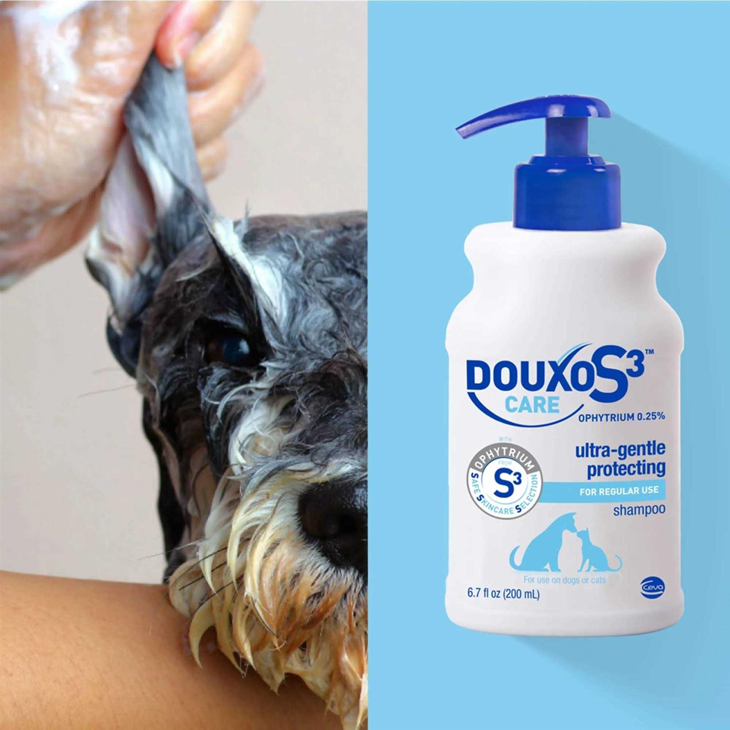 Douxo S3 Care Shampoo 200ml - Healthber