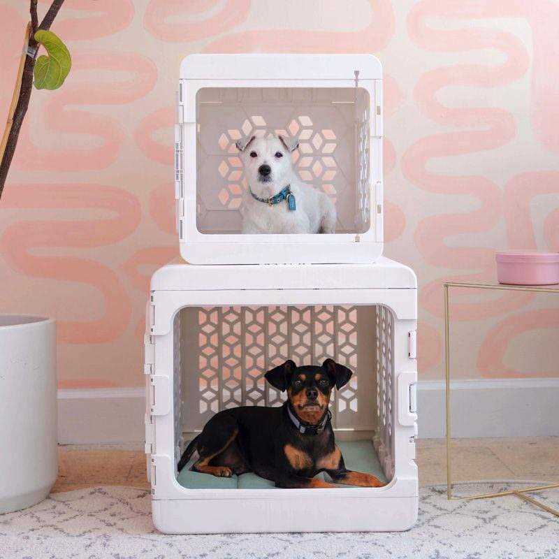 KindTail PAWD Collapsible Dog & Cat Crate - Healthber