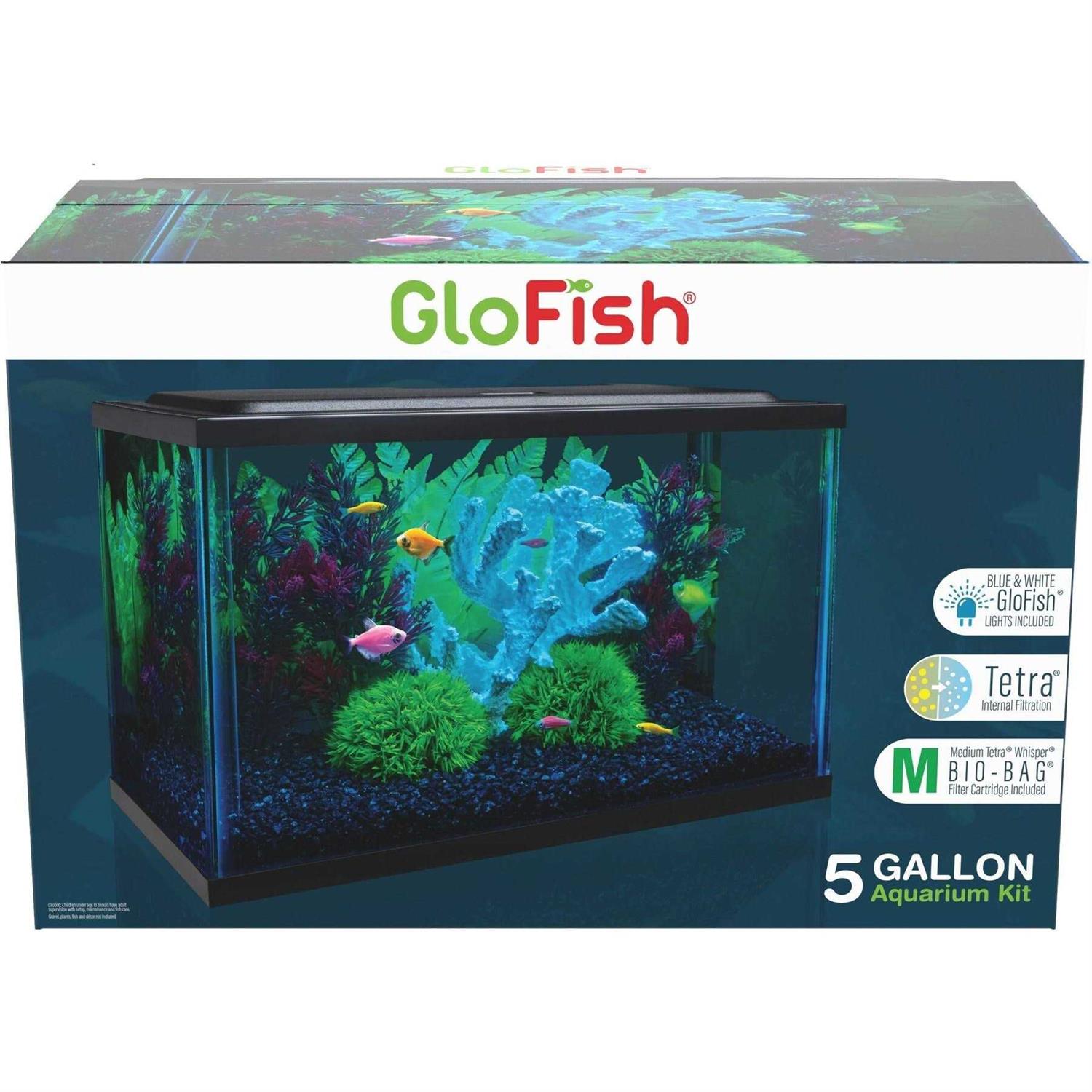 Glofish 10 Gallon Aquarium Kit - Healthber