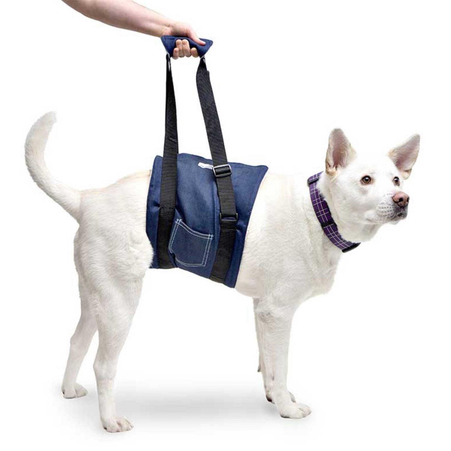 Walkin’ Dog Support Sling - Healthber