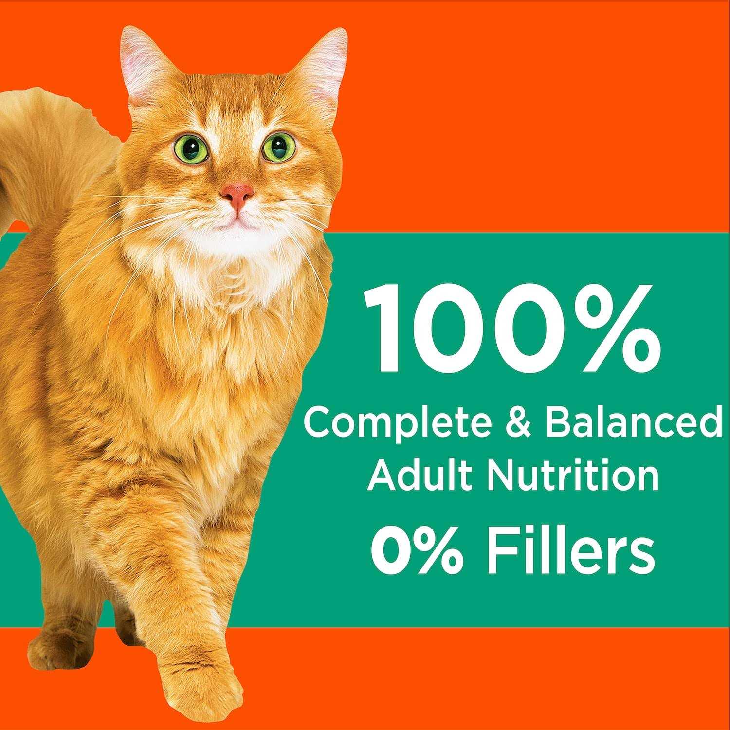 IAMS ProActive Health Hairball Care Adult Cat Dry Food - Healthber
